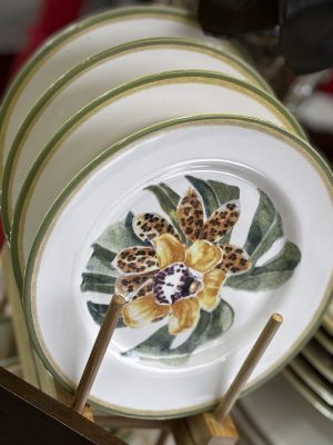 Pratos de sobremesa estampa tropical com 6 unidades